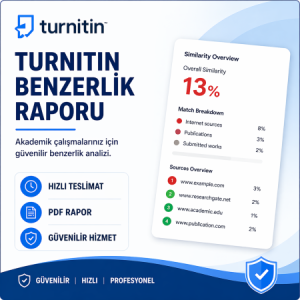 Turnitin Raporu